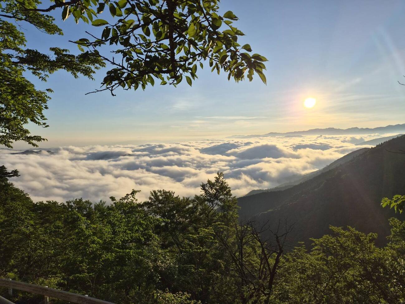 野迫川村の雲海