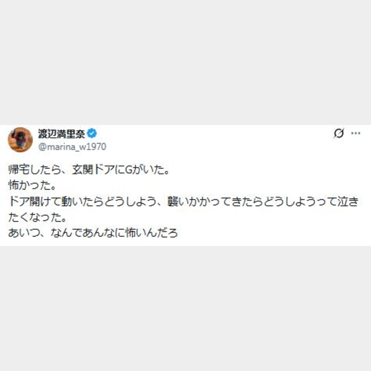 渡辺満里奈のXから