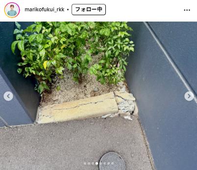 福居万里子アナのインスタグラムから