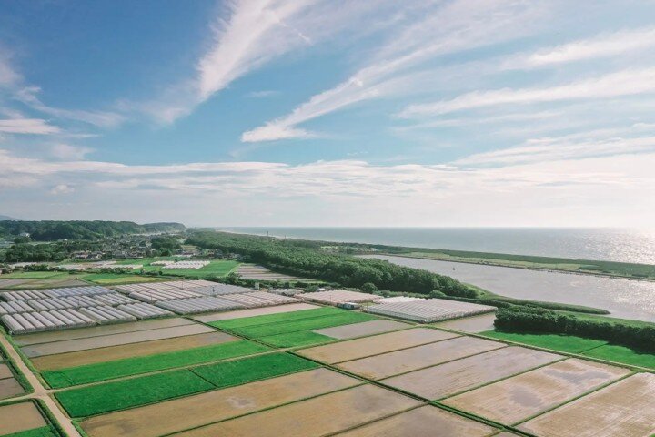 宮崎県新富町の風景