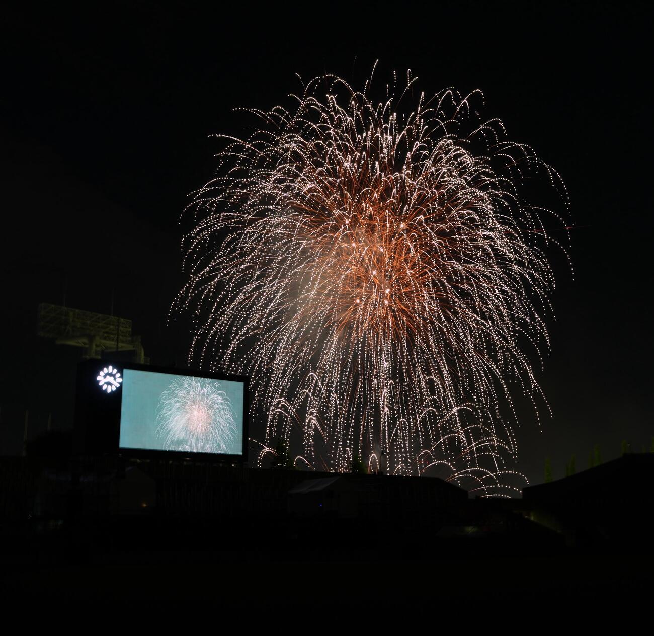 秩父宮ラグビー場を彩る花火（撮影・小島史椰）