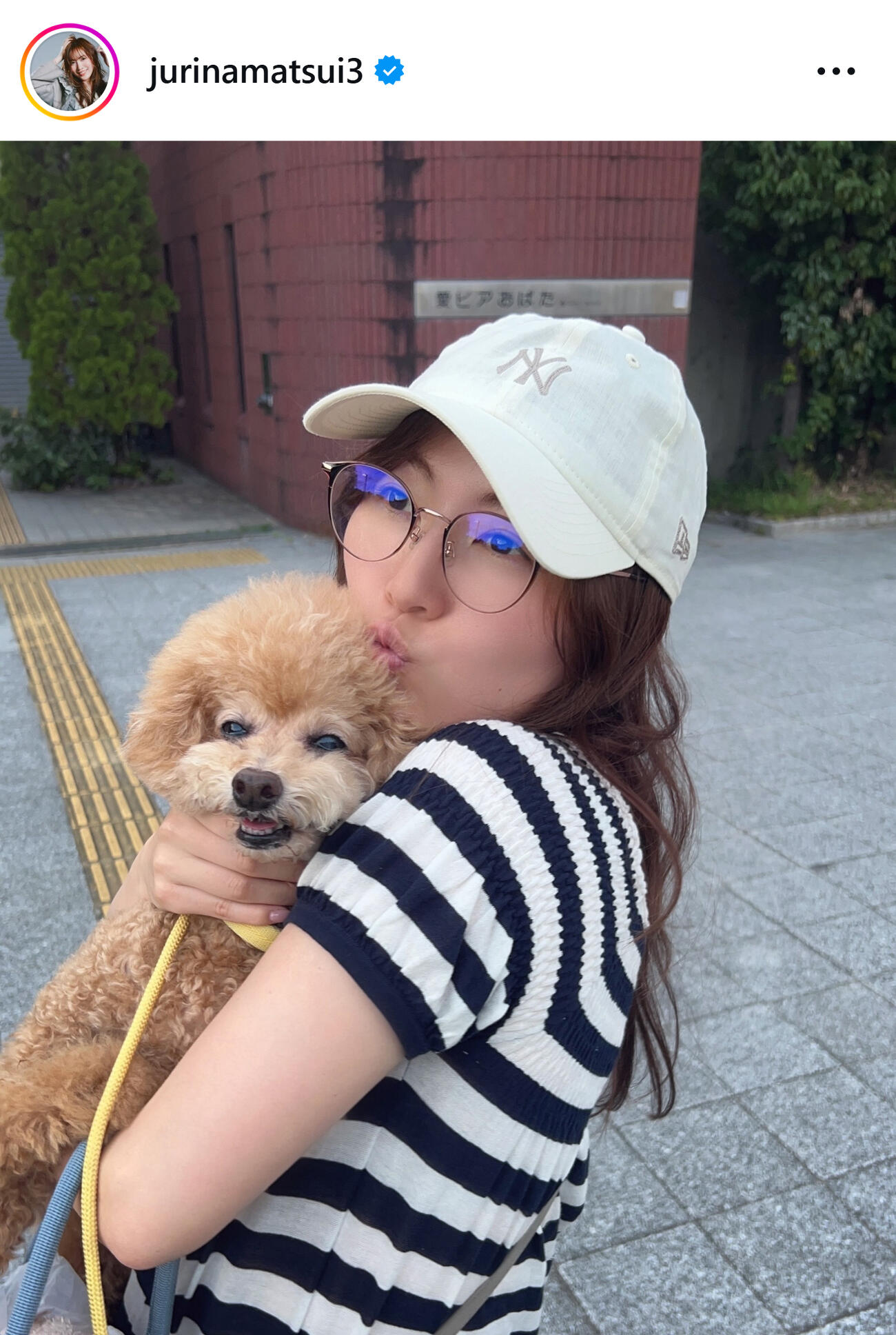 愛犬のリップスくんを抱っこ（松井珠理奈のインスタグラムから）