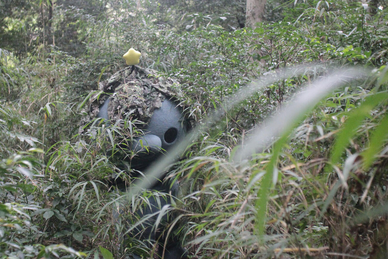 「教育番組タマ1st写真集　げんじつとうひ」で渡部陽一氏が撮影したタマ（C）MNS