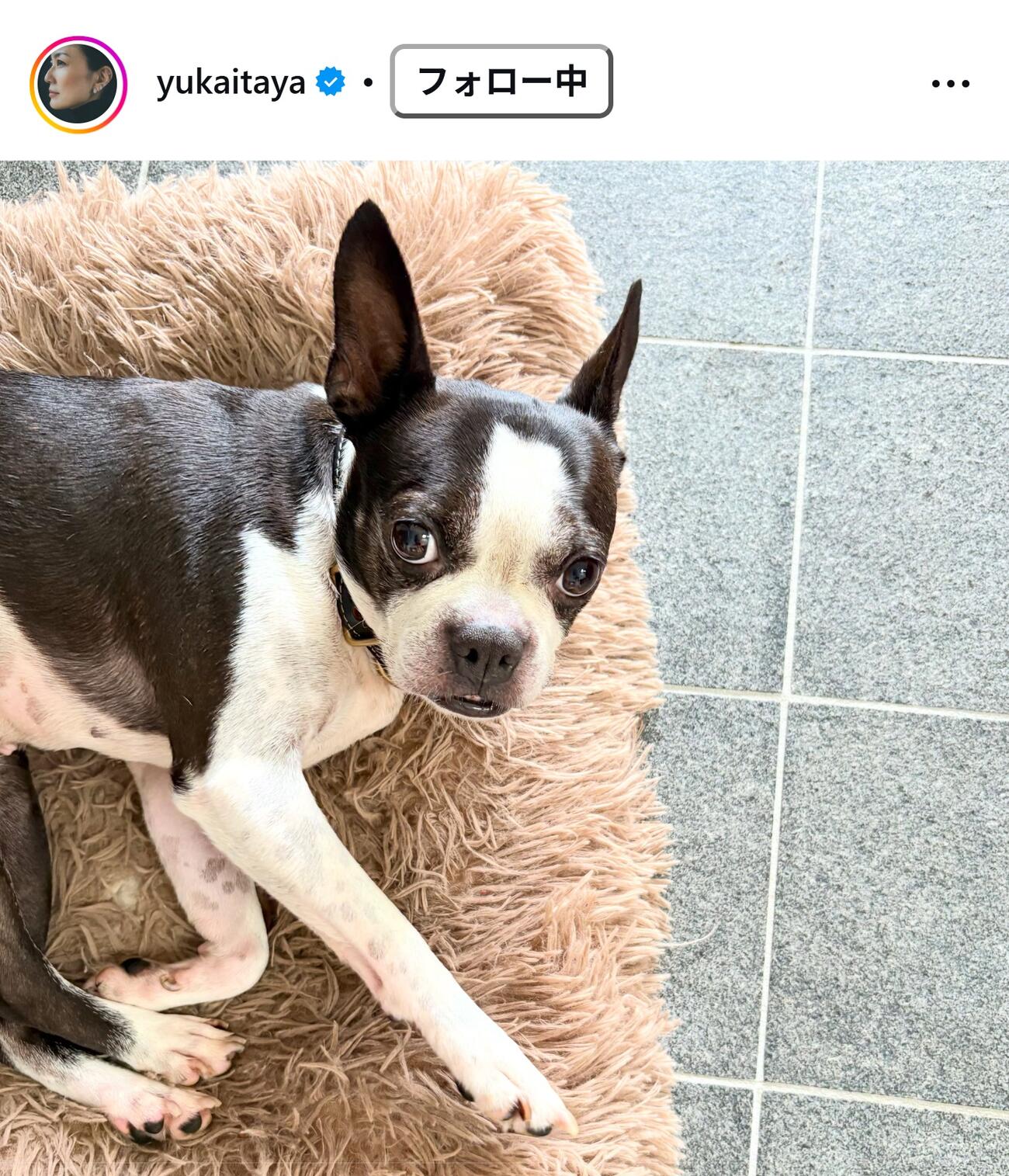 板谷由夏のインスタグラムから