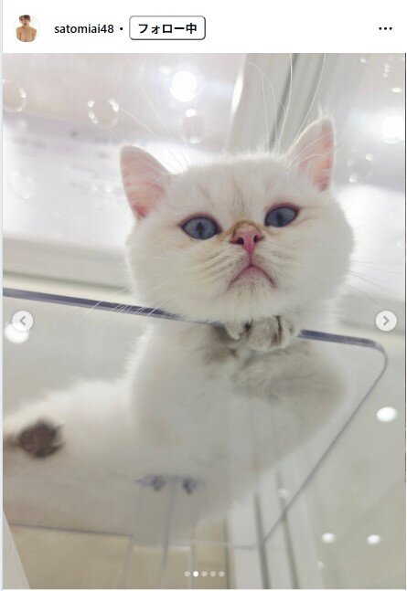 さとみあいのインスタグラムから
