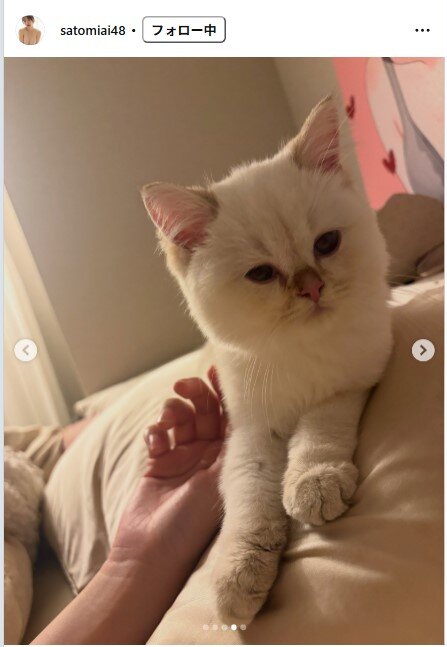 さとみあいのインスタグラムから