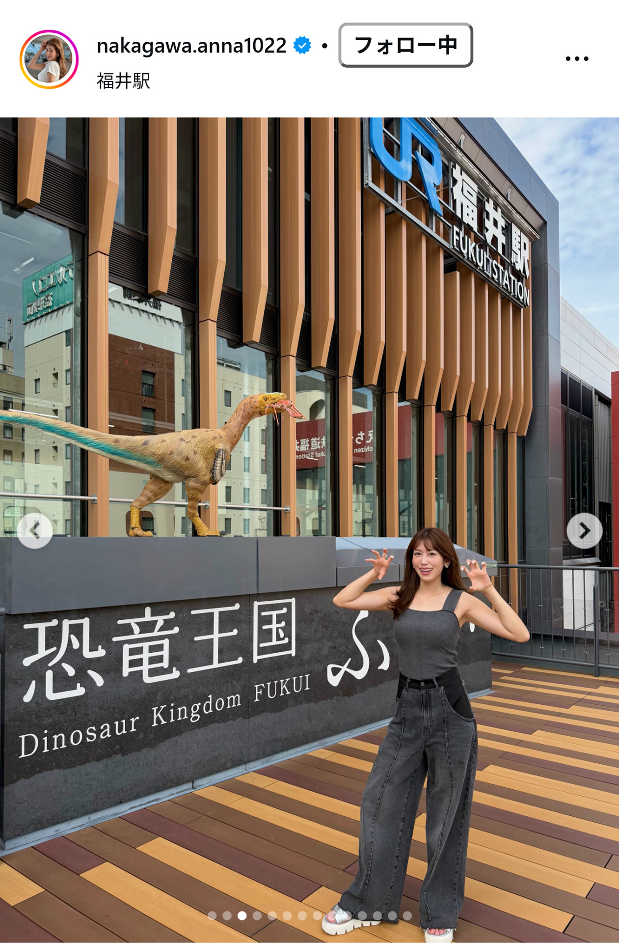 中川安奈のインスタグラムから