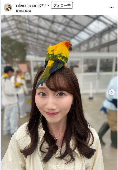林さくらのインスタグラムから