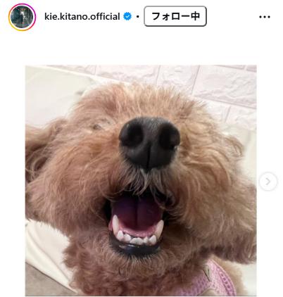 北乃きいのインスタグラムから