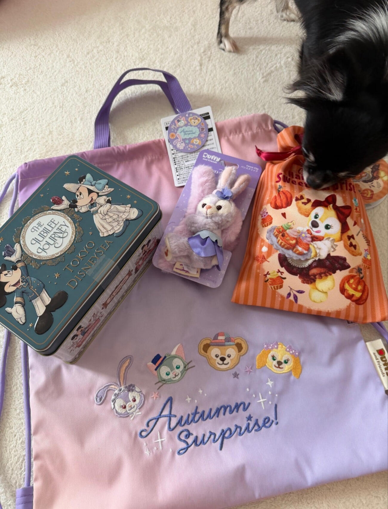 TDSで買ったおみやげ（上原さくらのブログから）