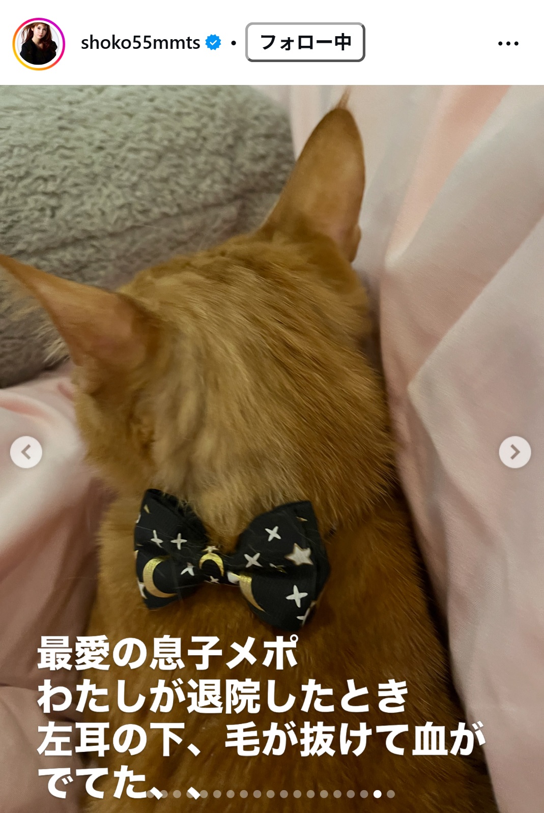 中川翔子のインスタグラムから