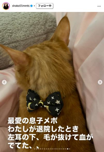 中川翔子のインスタグラムから