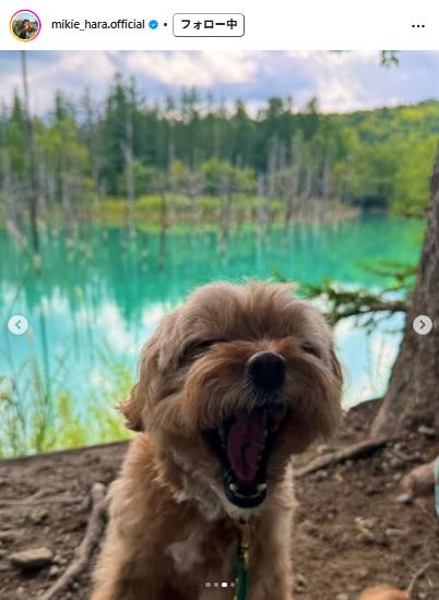 原幹恵のインスタグラムから