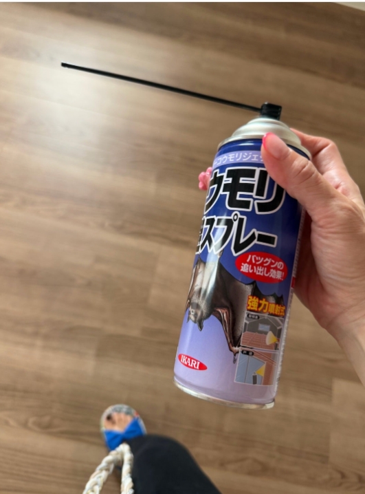 小原正子のブログから