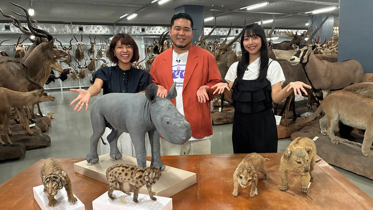 BS－TBSで15日に「アニマルワンダー　赤ちゃんヒミツ研究所」が放送される