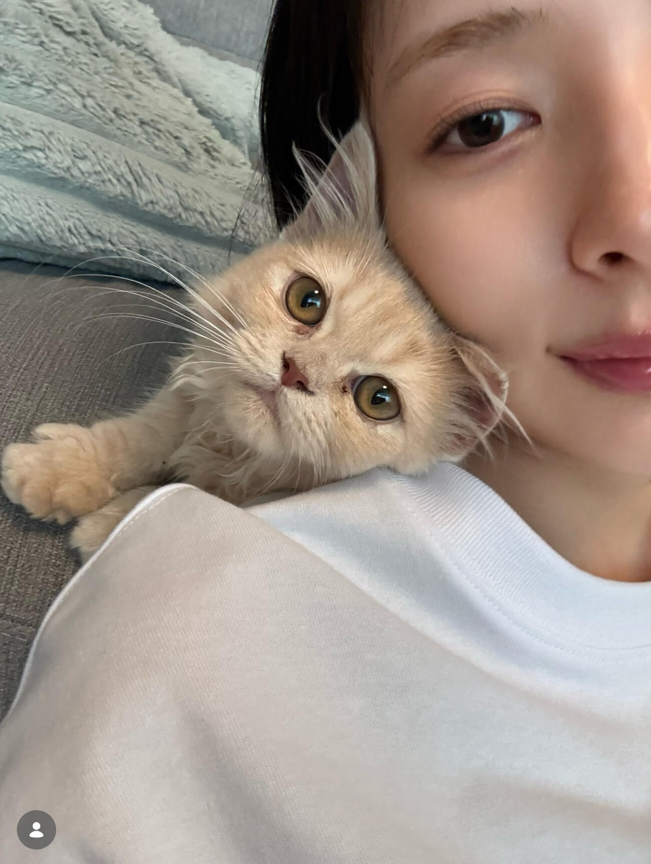 岡田紗佳のインスタグラムから