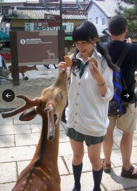 中川安奈のXから