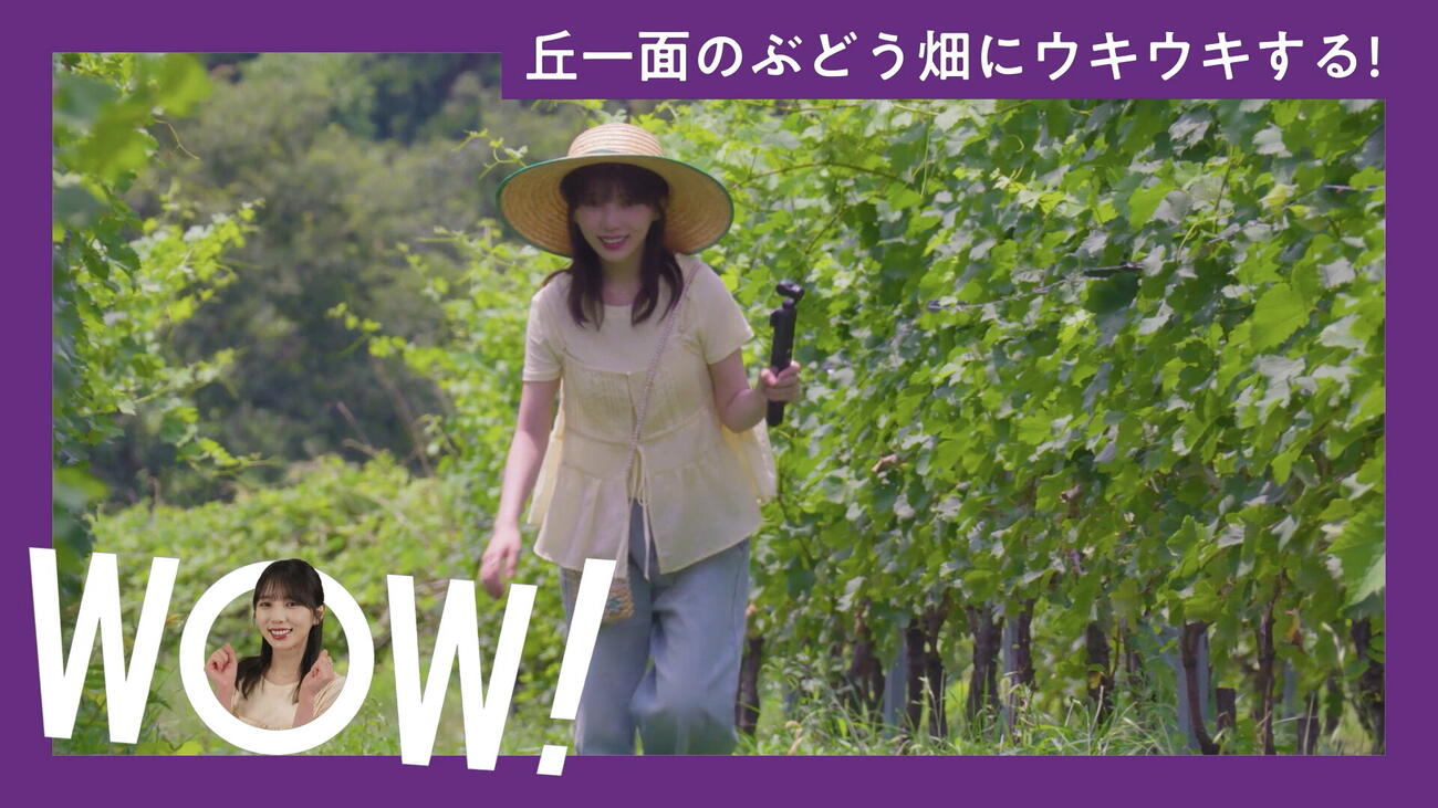 「サントリーWOW! PARK」Vlogシリーズに出演している与田祐希