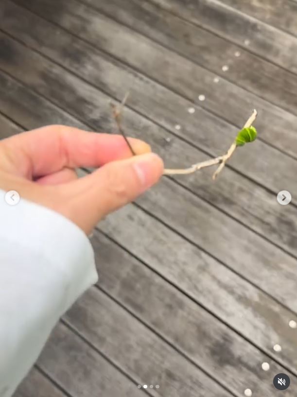 工藤静香のインスタグラムから