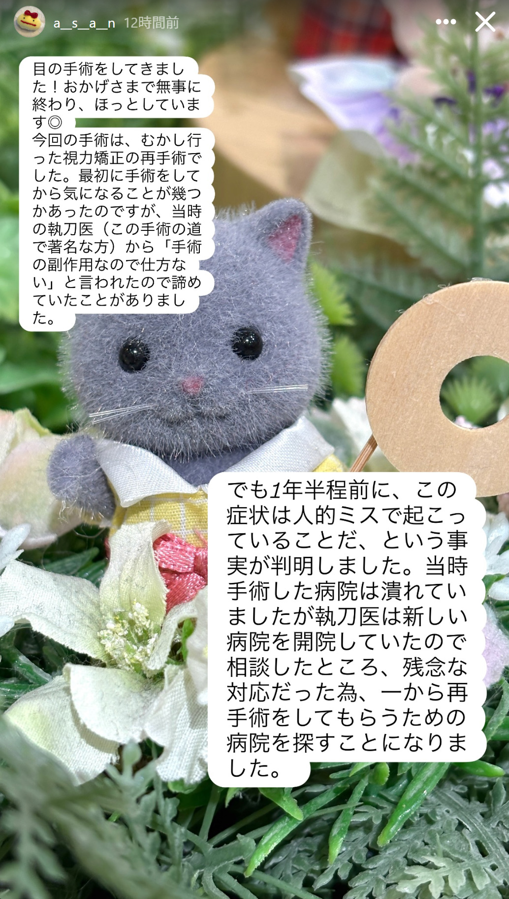 浅倉杏美のインスタグラムから