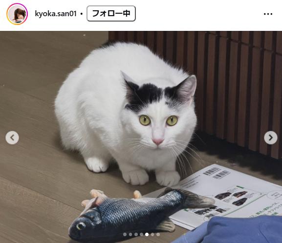 神堂きょうかのインスタグラムから