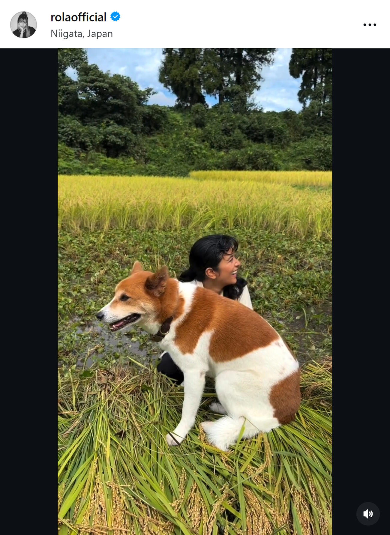 稲刈りをするローラ（ローラのインスタグラムから）