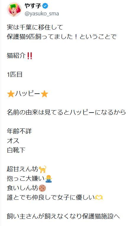 やす子のXから