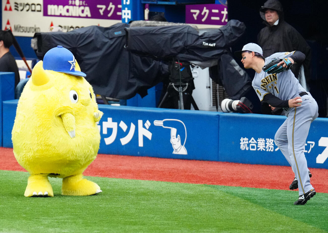 2026年9月26日、DeNA対阪神　試合前、チャピーと交流する阪神森下翔太