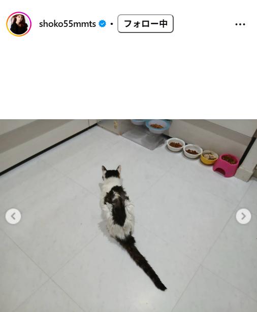 中川翔子のインスタグラムから
