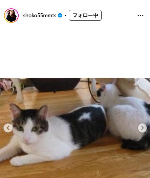 中川翔子のインスタグラムから