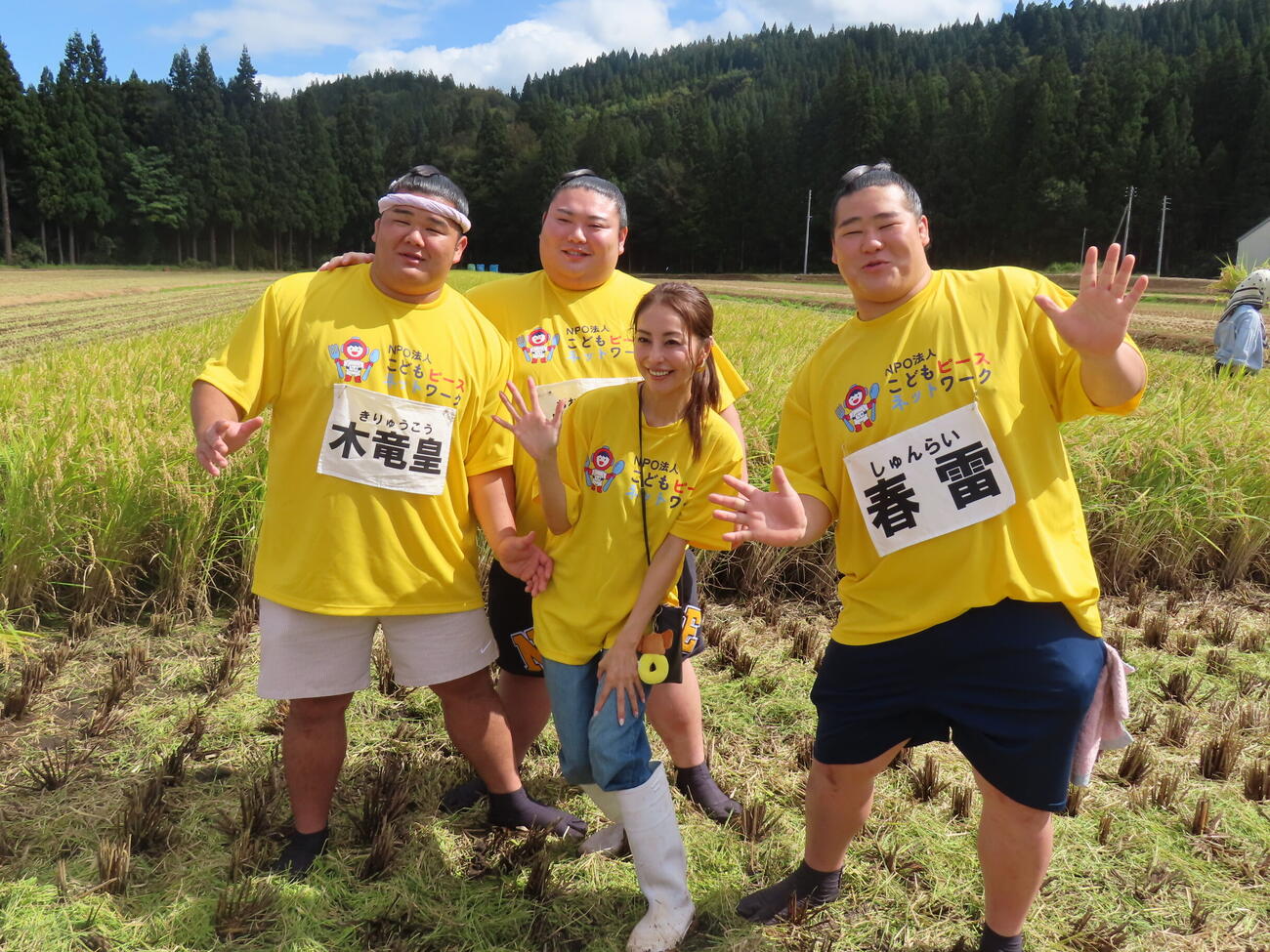 新潟・津南町の「立浪部屋ファーム」で稲刈りをした、左から木竜皇、大花竜、熊切あさ美、春雷