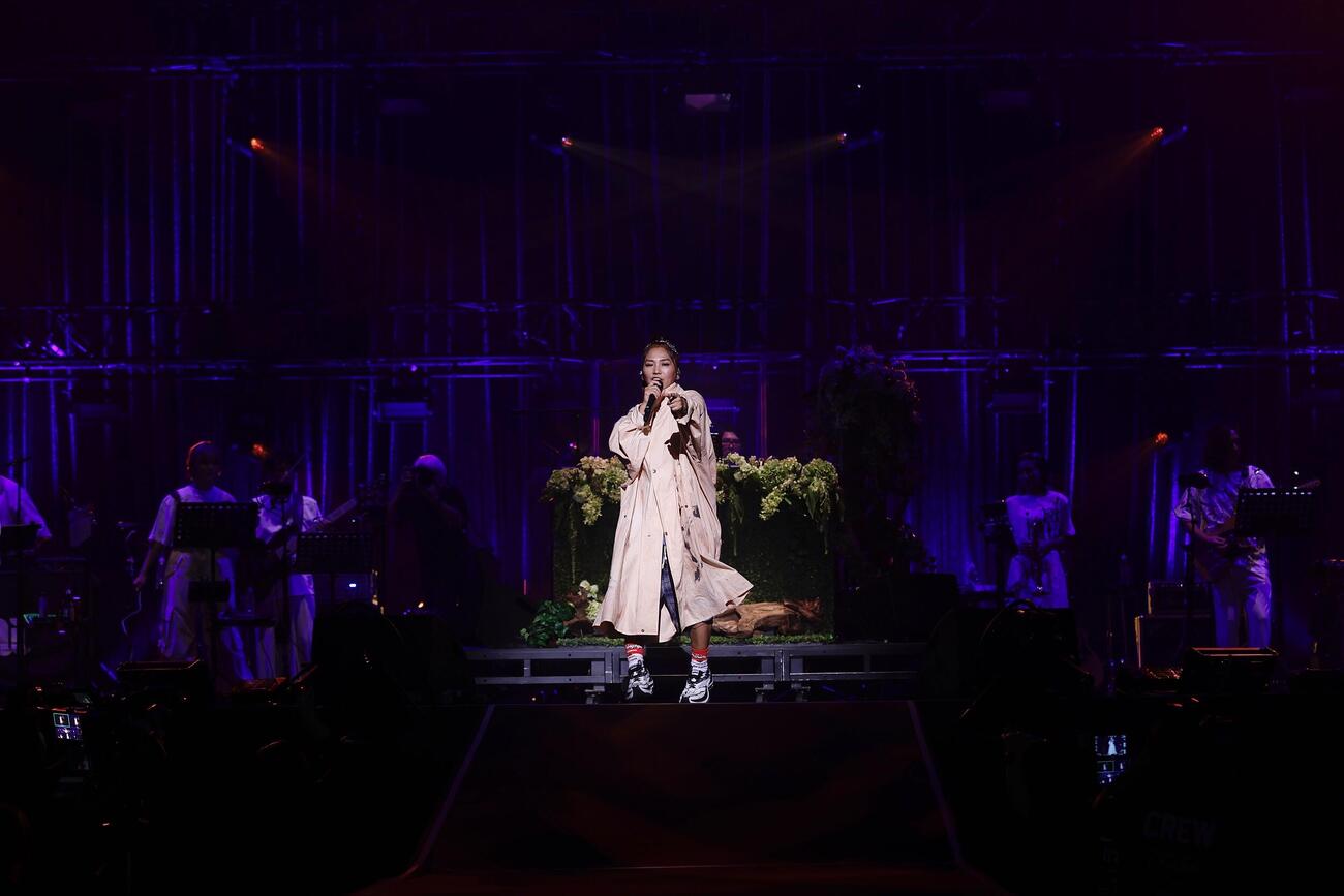 「MINMI LIVE at　日本武道館　～it’s not toolate～」で歌唱するMINMI