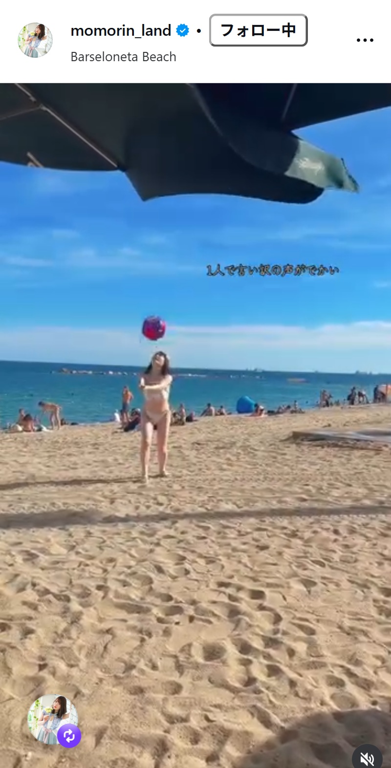 桃白美沙のインスタグラムから