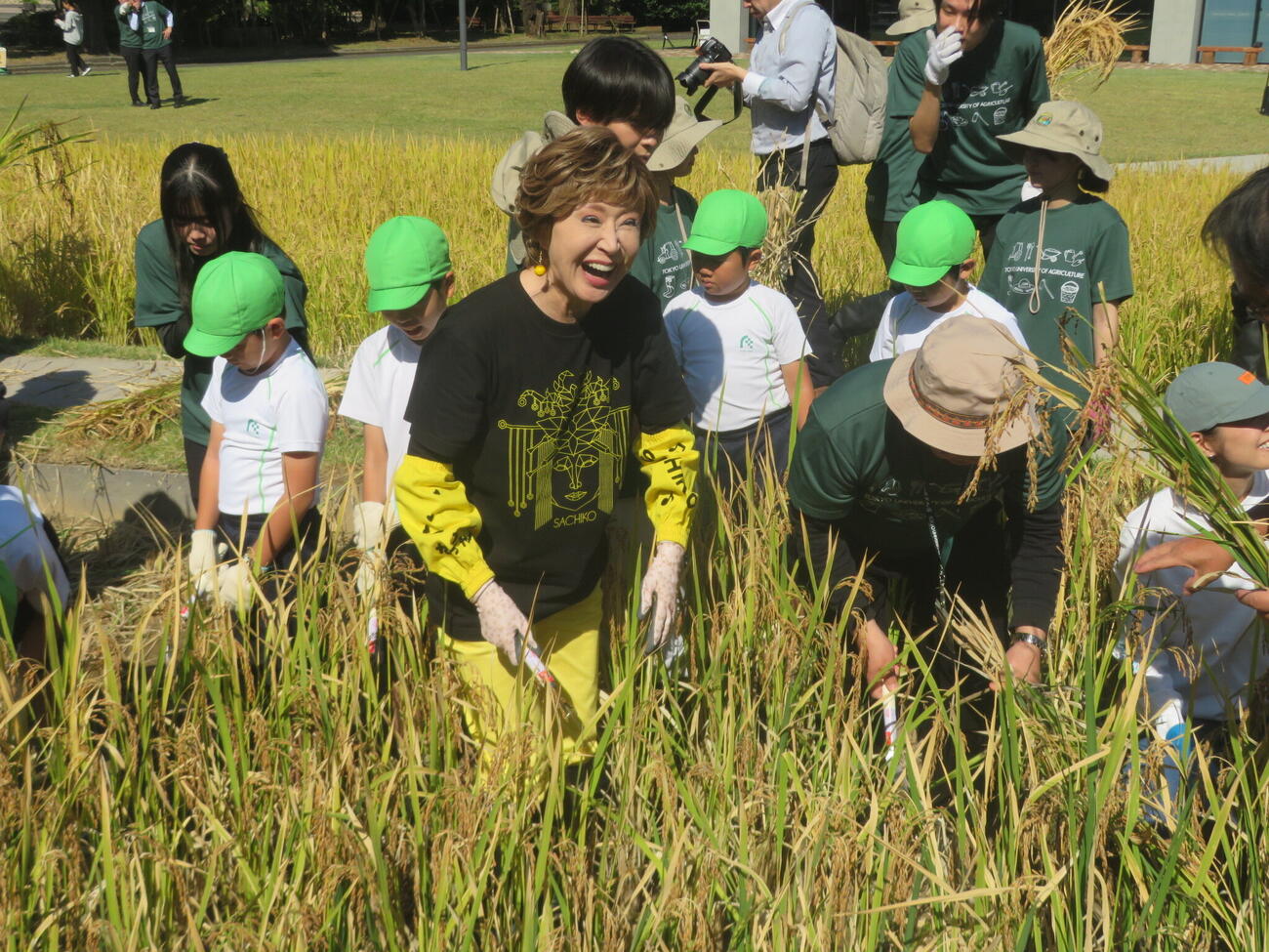 笑顔で稲刈りをする小林幸子（撮影・川田和博）