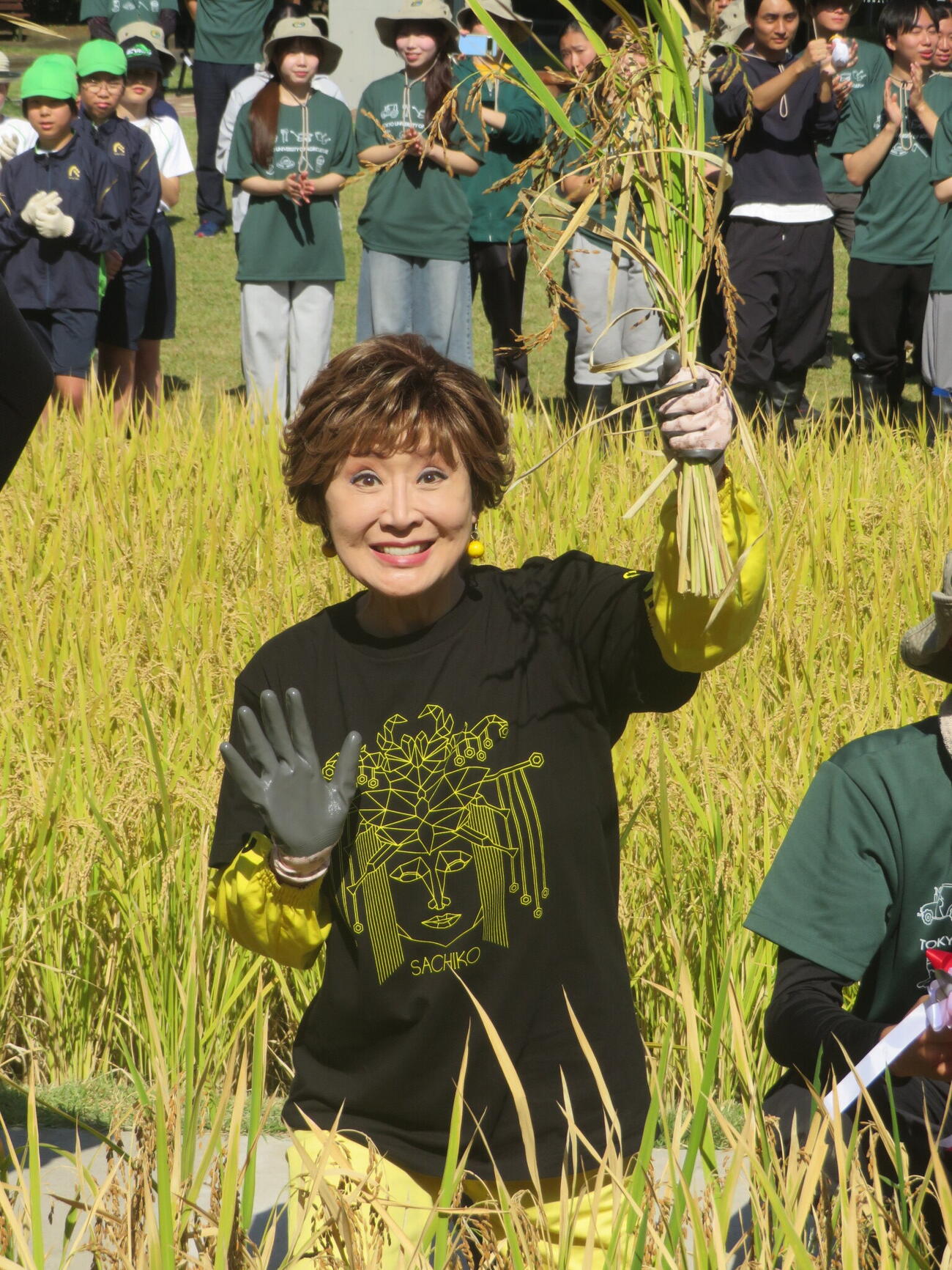 鎌入れ式を行った小林幸子（撮影・川田和博）
