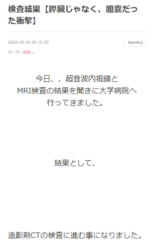 光上せあらのブログから