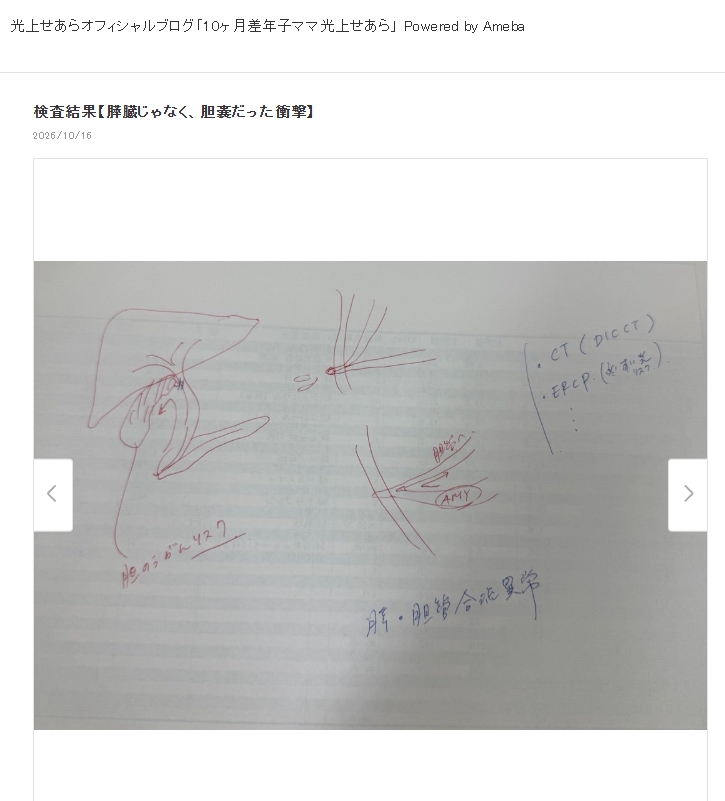 光上せあらのブログから