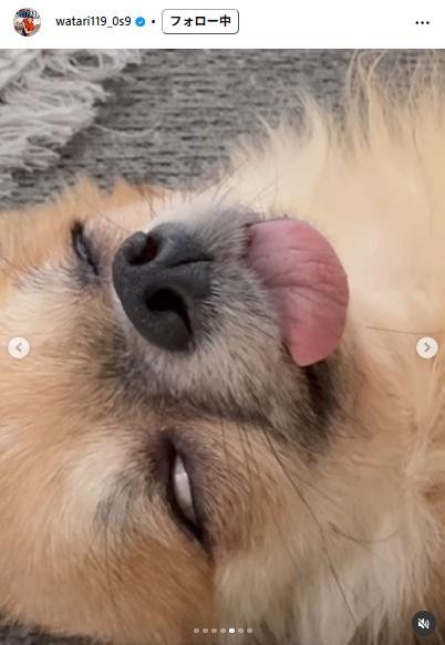 ワタリ119のインスタグラムから