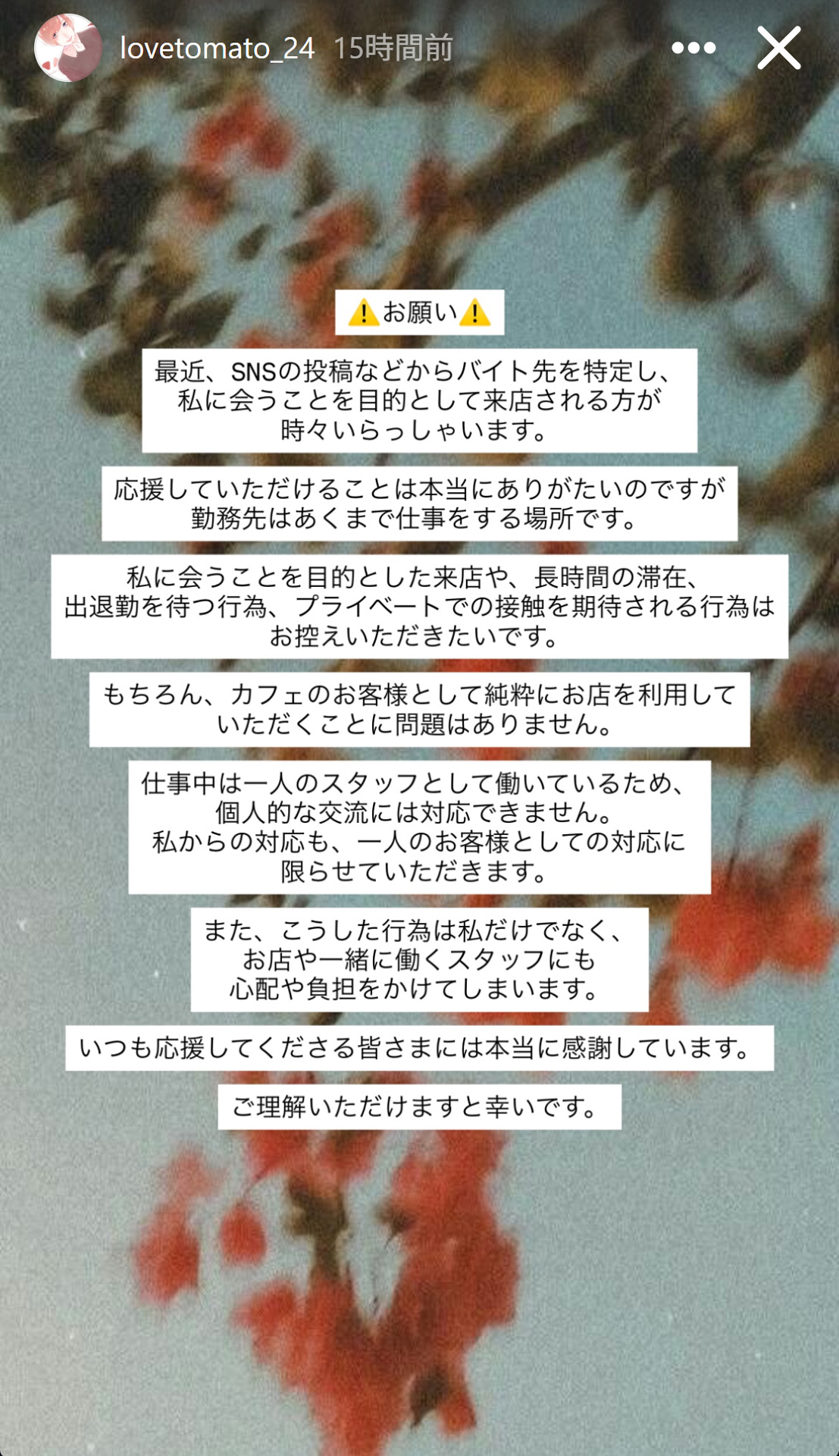 こばしり。のインスタグラムから