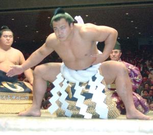元横綱千代の富士、大橋巨泉さんら／2016年悼む - 芸能 : 日刊スポーツ