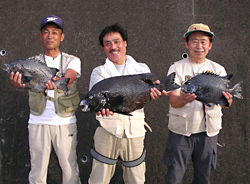 第2位石垣さん、優勝樋口さん、第3位浅野さん(左から)