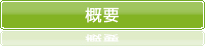 概要