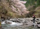 水深がある瀬落ちのふちを狙う筆者(和歌山有田川支流・湯川川)