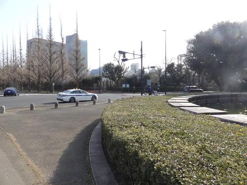 神宮外苑地区には有名なイチョウ並木だけでなく多くの樹木が広がる＝22年3月5日撮影