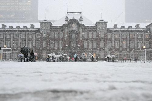 雪は都心でも