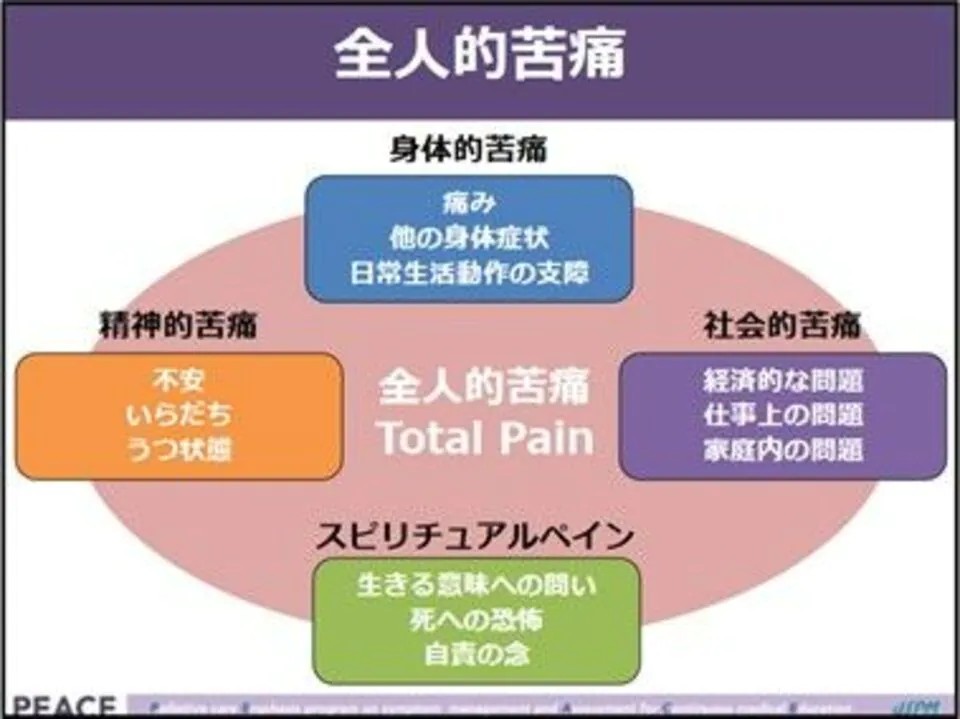 日本緩和医療学会「PEACEプロジェクトスライド」より引用