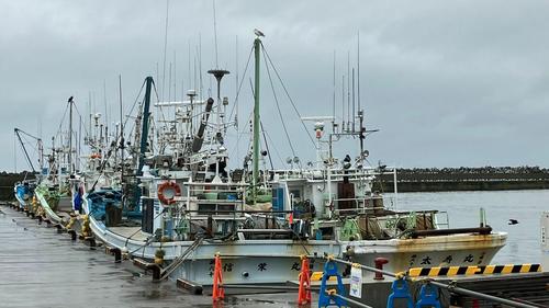 白糠漁港ではさまざまな海産物が水揚げされる（筆者撮影）