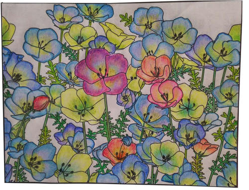 匿名希望さんの塗り絵作品