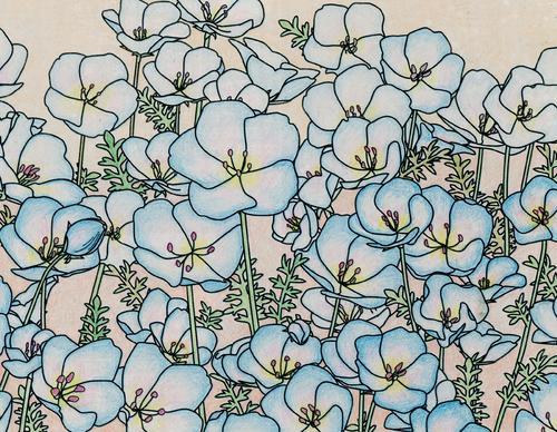 木村栄さんの塗り絵作品