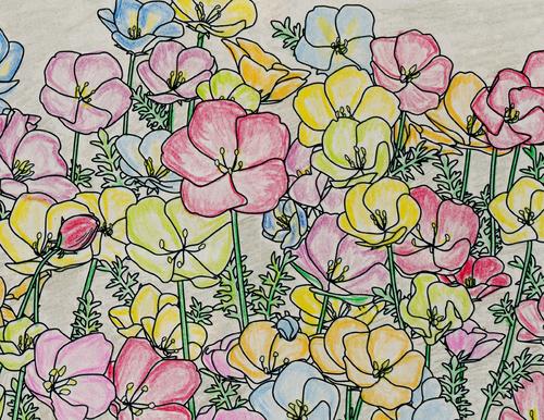 大峰コヨさんの塗り絵作品